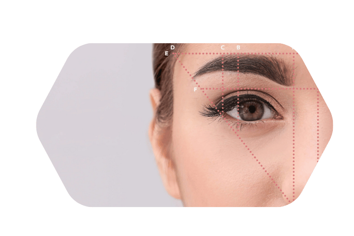 Altın Oran Kaş Alımı